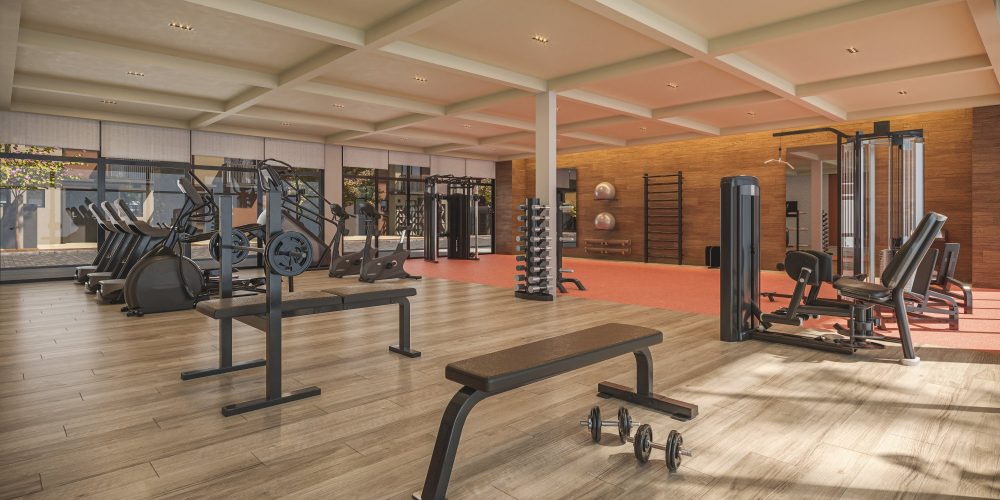 fitness